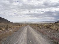 Utah Road Through the Wilderness