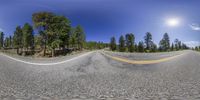 the 360 - view lens is very large and blurry and makes it look like a road with double yellow lines