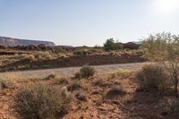 a desert and mountain scene with dirt, shrubs, and rocks in the foreground