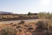 a desert and mountain scene with dirt, shrubs, and rocks in the foreground