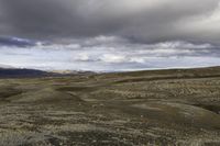 view across the vast plains under cloudy skies and dark clouds on a mountaintop with some small plants