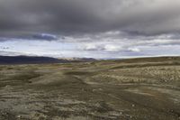 view across the vast plains under cloudy skies and dark clouds on a mountaintop with some small plants