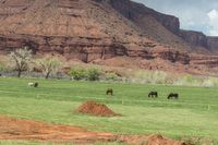 Utah Rural Valley with Red Rock Mountains