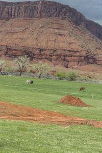 Utah Rural Valley with Red Rock Mountains 002