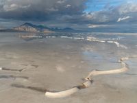 Utah's Salt Lake: Desert Landscape with Mountains