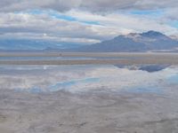 Nature's Scenic View in Utah's Salt Lake