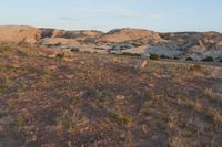 a dirt and grass covered plain surrounded by rocky mountains, with plants in the foreground