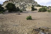 a sandy area with dirt in front of rocks and trees on the side of a mountain