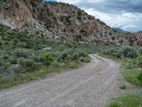 Utah Scenic Landscape: Road Through Mountains and Nature