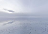 a person standing on a snow covered beach under some clouds in the background that is not a cloud