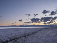 an empty beach with a few clouds and mountains in the background at sunset time with one plant growing from a crack in the sand