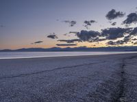 an empty beach with a few clouds and mountains in the background at sunset time with one plant growing from a crack in the sand