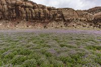 Utah USA Desert Red Rock Landscape 001