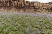 Utah, USA: Desert Red Rock Landscape 002