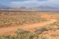 the desert is rocky, with a small tree in the distance on the right, and mountains to the left