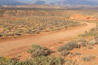 the desert is rocky, with a small tree in the distance on the right, and mountains to the left