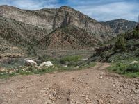 Utah, USA: Mountain Landscape and Nature Track