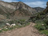 Utah, USA: Mountain Landscape and Nature Track