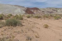 Utah, USA: Red Rock Desert Landscape