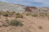 Utah, USA: Red Rock Desert Landscape