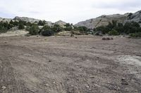 a dirt field with trees and rocks on it on a partly cloudy day in an area