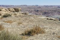 Utah, USA: A Road Through the Red Rock Desert