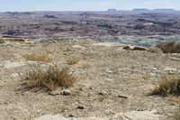 Utah, USA: A Road Through the Red Rock Desert