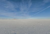 a picture of the landscape of the winter on the snow plain with a big hill in the distance