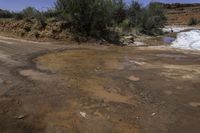 an old dirt road and muddy mud patches with trees in the background in desert area