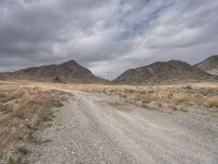 gravel road leading through barren mountains with telephone poles and power lines in the background and a grey cloudy sky