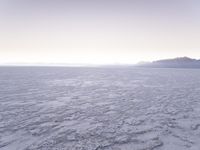 a lone lone horse on a desert plain near mountains at dusk in a barren area