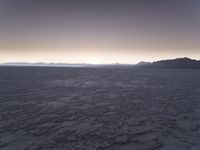 a lone lone horse on a desert plain near mountains at dusk in a barren area