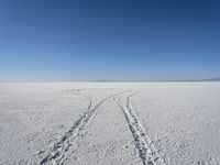 Winter Landscape in Utah