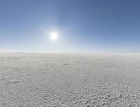 a person in skis looking out at the sky in an open plain area with some snow and some bushes