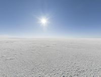 a person in skis looking out at the sky in an open plain area with some snow and some bushes