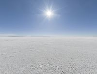 a person in skis looking out at the sky in an open plain area with some snow and some bushes