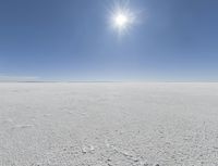 a person in skis looking out at the sky in an open plain area with some snow and some bushes