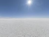 a person in skis looking out at the sky in an open plain area with some snow and some bushes