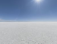 a person in skis looking out at the sky in an open plain area with some snow and some bushes