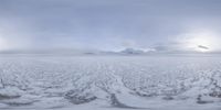 there are many tracks and ridges in the snow outside the camera point of view of an open field