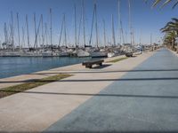 the pier is lined with boats and palm trees along with blue skies and no clouds in sight