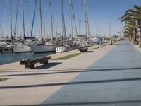 the pier is lined with boats and palm trees along with blue skies and no clouds in sight