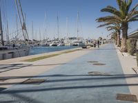 the pier is lined with boats and palm trees along with blue skies and no clouds in sight