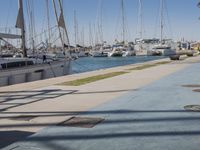 the pier is lined with boats and palm trees along with blue skies and no clouds in sight