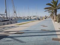 the pier is lined with boats and palm trees along with blue skies and no clouds in sight