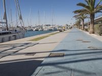 the pier is lined with boats and palm trees along with blue skies and no clouds in sight