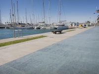 the pier is lined with boats and palm trees along with blue skies and no clouds in sight