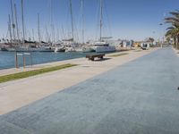 the pier is lined with boats and palm trees along with blue skies and no clouds in sight