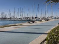 a man sitting on a bench looking at the water and sail boats in a harbor