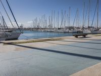 Valencia Marina: A Day by the Waterfront